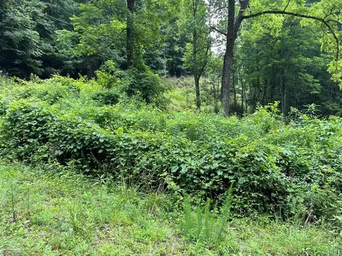 00 Bates Creek Rd, Murphy, NC 28906 photo 3