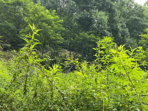 00 Bates Creek Rd, Murphy, NC 28906 photo 6