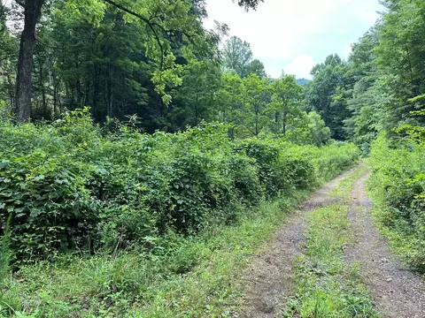 00 Bates Creek Rd, Murphy, NC 28906 photo 4