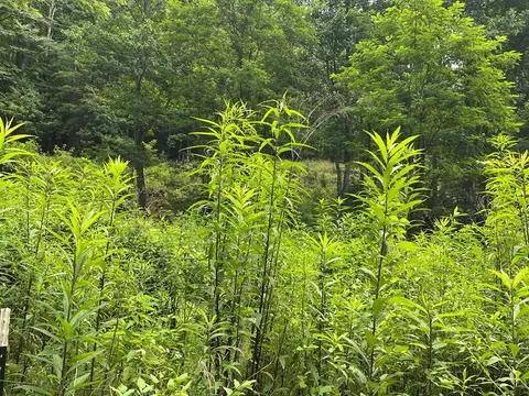 00 Bates Creek Rd, Murphy, NC 28906 photo 5