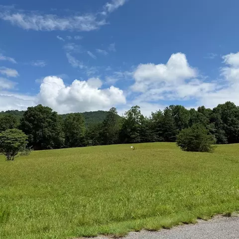 lot51 The Preserve At Cc, Young Harris, GA 30582