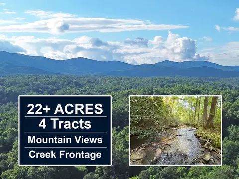 1720 Mt Springer Rd, Ellijay, GA 30540