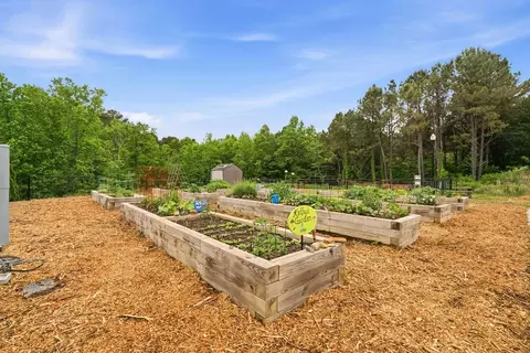 View/Area - 167 Mountain Blvd, Jasper, GA 30143 photo 2 of 3