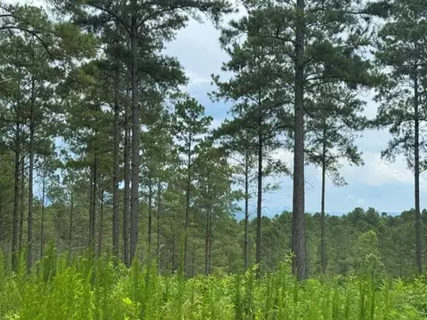 lot88 Springfield Pkwy, Ellijay, GA 30540