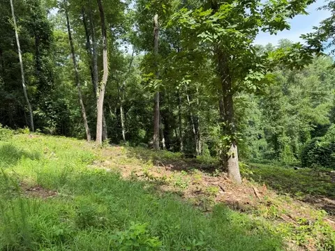 lot25 Bryson Crk, Murphy, NC 28906 photo 7