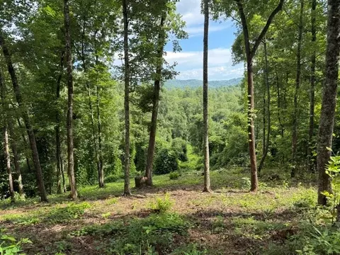 lot25 Bryson Crk, Murphy, NC 28906 photo 3