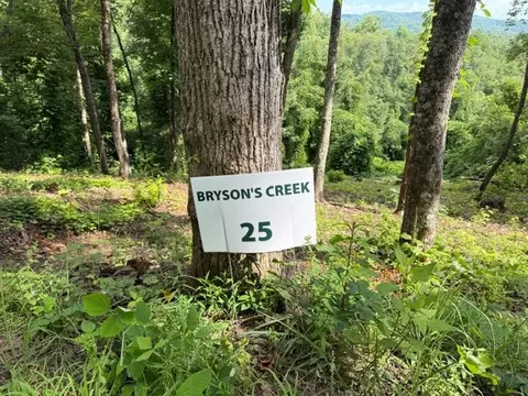 lot25 Bryson Crk, Murphy, NC 28906 photo 2