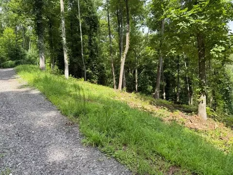 lot25 Bryson Crk, Murphy, NC 28906 photo 6