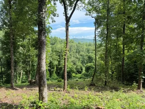 lot25 Bryson Crk, Murphy, NC 28906 photo 5
