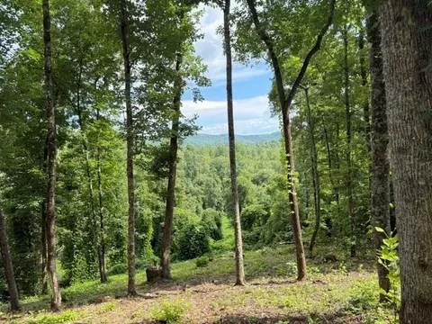 lot25 Bryson Crk, Murphy, NC 28906 photo 8