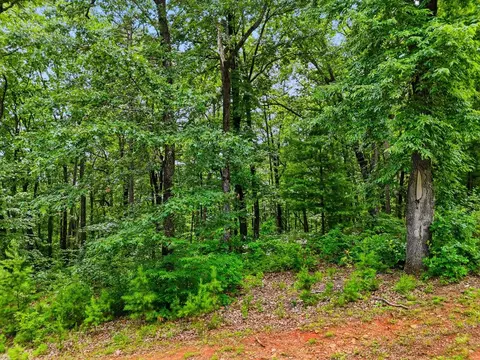 lot11 Weeks Dr, Ellijay, GA 30540