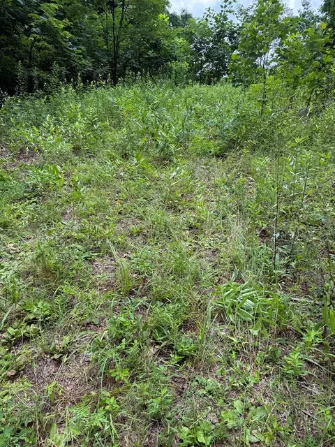 0 Outlook Rd, Murphy, NC 28906 photo 5