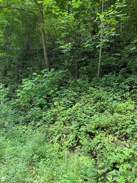 0 Outlook Rd, Murphy, NC 28906 photo 3