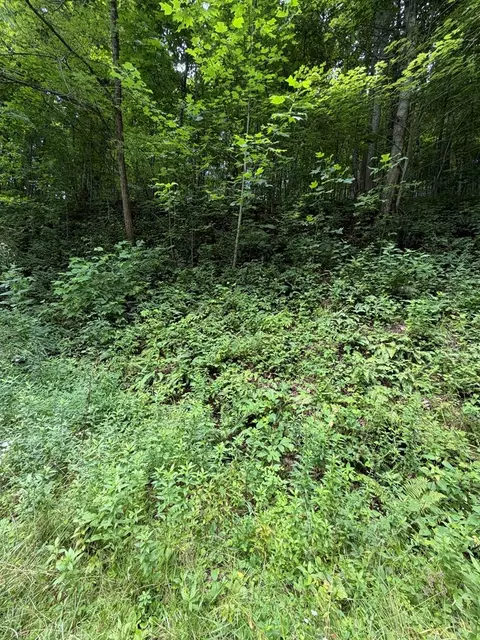 0 Outlook Rd, Murphy, NC 28906 photo 4