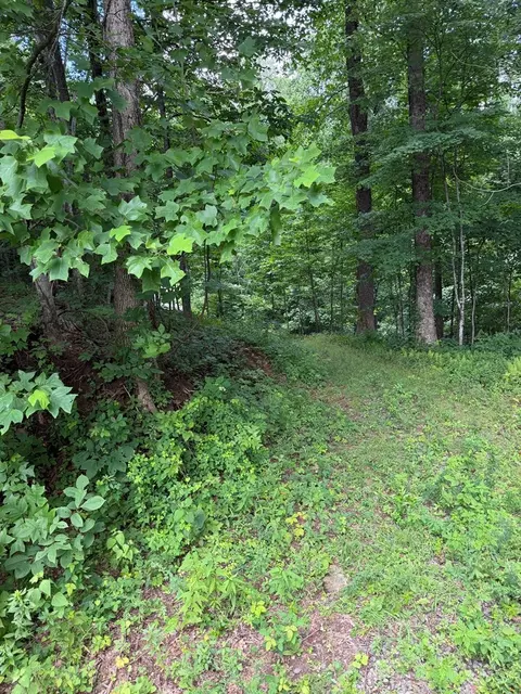 0 Outlook Rd, Murphy, NC 28906 photo 6