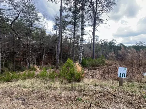 lot10 Mountain Laurel Rdg, Mineral Bluff, GA 30559