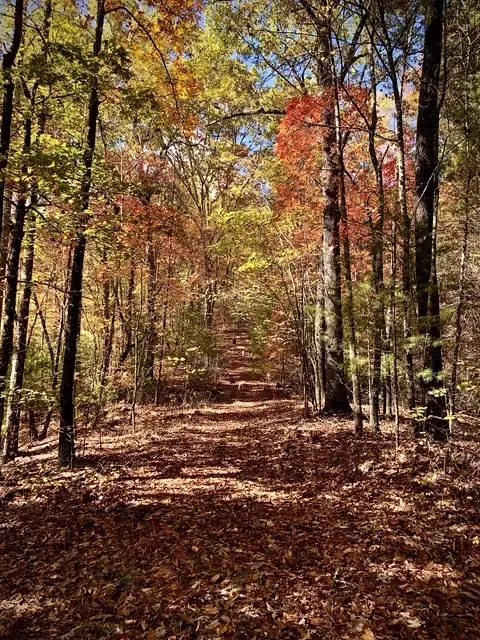 Other - 224 Pine Bough Rd, Murphy, NC 28906 photo 1 of 4