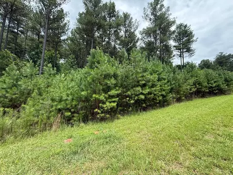 lot174 The Stables Loop, Blairsville, GA 30512