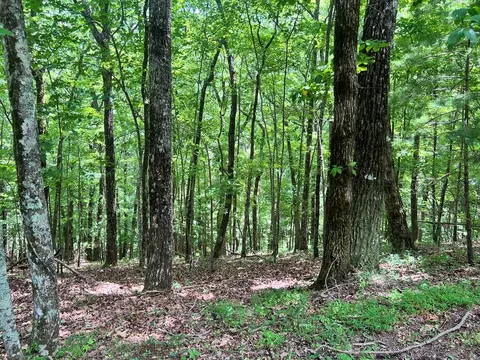 68 Mountain Oak Road, Ellijay, GA 30536