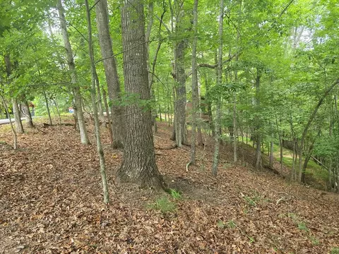 lot476 Riverview Dr, Ellijay, GA 30540