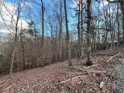 lot403 Crown Ct, Ellijay, GA 30540