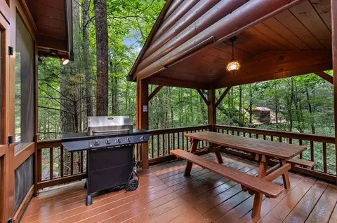 Exterior - 77 Old Covered Bridge Rd, Cherry Log, GA 30522 photo 21 of 33