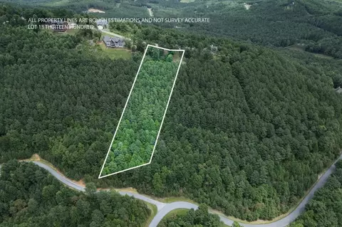 lot13 Thirteen Hundred, Blairsville, GA 30512