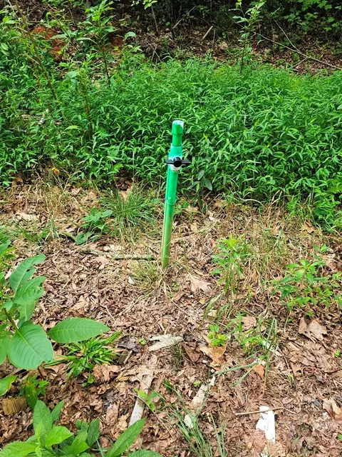Other - 252 Barefoot Ln, Murphy, NC 28906 photo 5 of 11