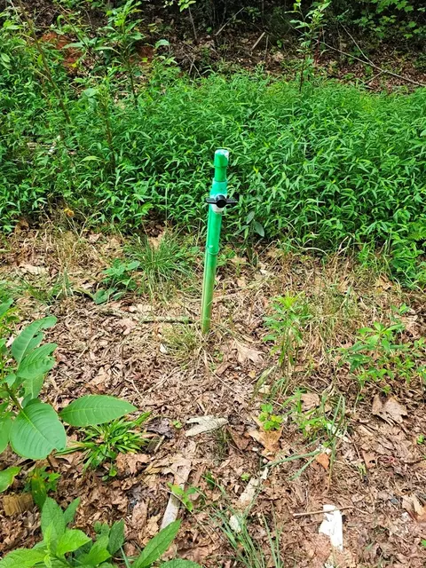 Other - 252 Barefoot Ln, Murphy, NC 28906 photo 8 of 11