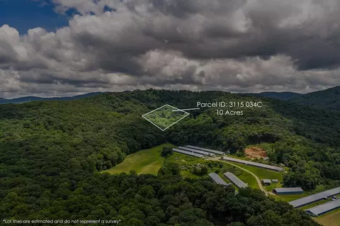0 Homer Wright Rd, Talking Rock, GA 30175 photo 6