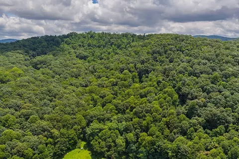 0 Homer Wright Rd, Talking Rock, GA 30175 photo 2