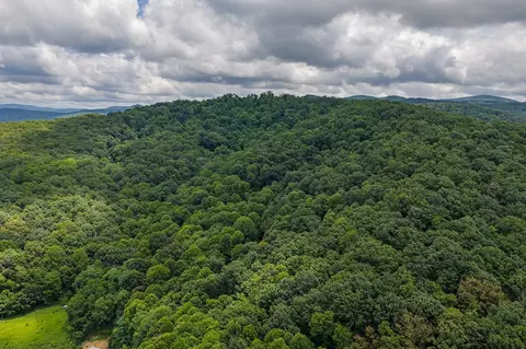 0 Homer Wright Rd, Talking Rock, GA 30175 photo 4