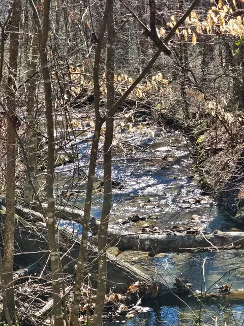 lot26 Oak Ridge Way, Ellijay, GA 30536