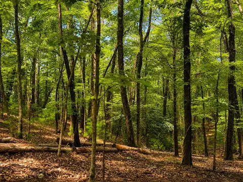 J208 Pine Ridge Road, Ellijay, GA 30536