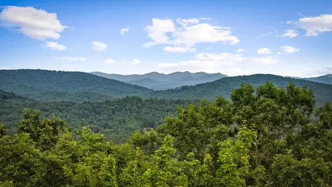 140 Bandit Ln, Blue Ridge, GA 30513