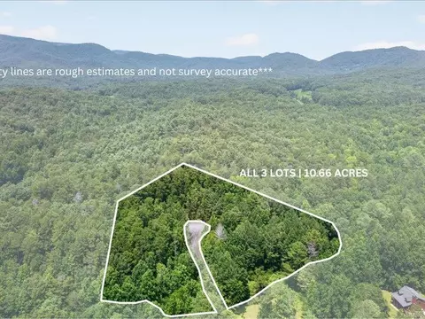 10 66 Ac East Ridge Ln, Ellijay, GA 30536