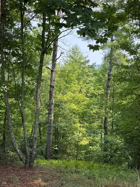 0 Rockridge Rd, Murphy, NC 28906 photo 9