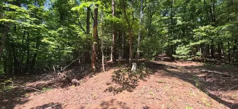 3 4 Acre Peach Ln, Ellijay, GA 30536