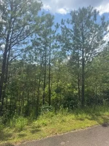 Lt 43&44 Reece Mountain Road, Ellijay, GA 30536