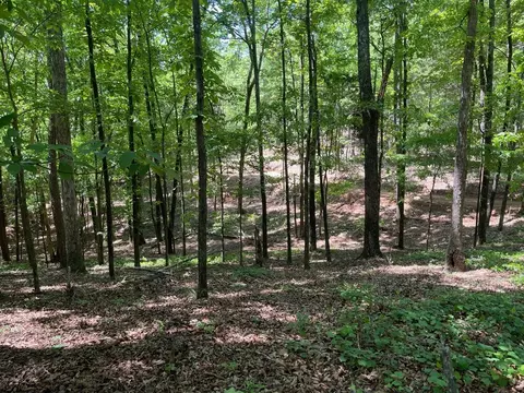 Tract 3 Chalcrest Way, Cave Spring, GA 30124 photo 2