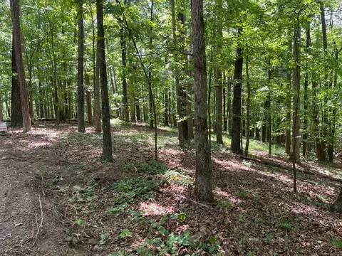 Tract 3 Chalcrest Way, Cave Spring, GA 30124 photo 9