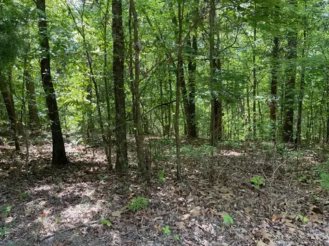 Tract1a Chalcrest Way, Cave Spring, GA 30124 photo 2