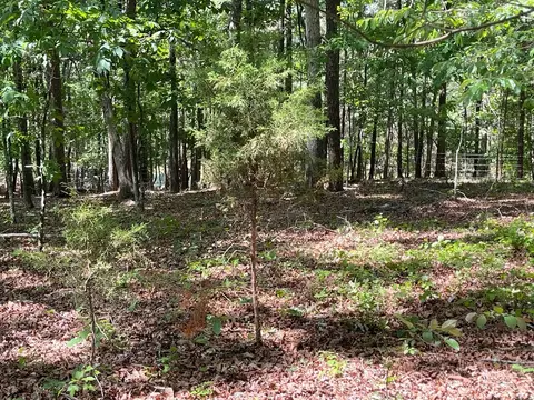 Tract1a Chalcrest Way, Cave Spring, GA 30124 photo 21