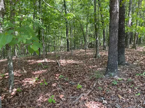 Tract1a Chalcrest Way, Cave Spring, GA 30124 photo 3