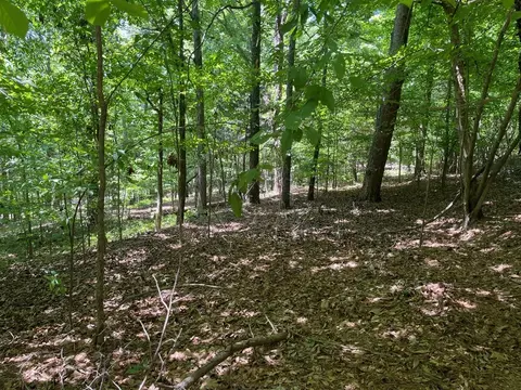 Tract1a Chalcrest Way, Cave Spring, GA 30124 photo 8