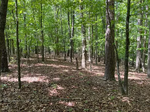 Tract1a Chalcrest Way, Cave Spring, GA 30124 photo 6