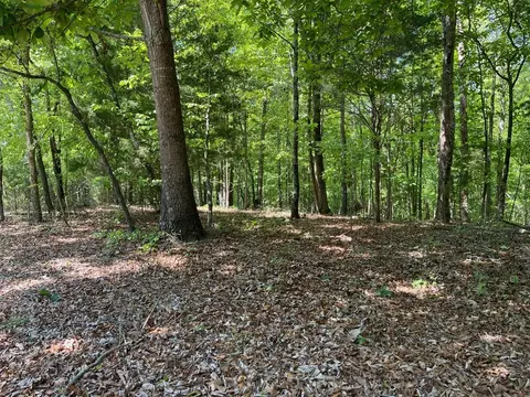 Tract1a Chalcrest Way, Cave Spring, GA 30124 photo 14