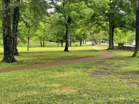 Tract1a Chalcrest Way, Cave Spring, GA 30124 photo 34