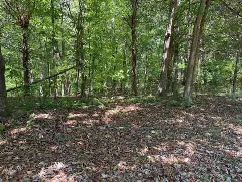 Tract1a Chalcrest Way, Cave Spring, GA 30124 photo 13