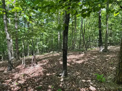 Tract1a Chalcrest Way, Cave Spring, GA 30124 photo 5